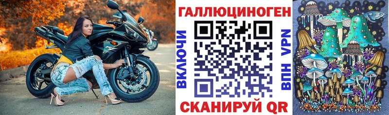 где купить Заринск Галлюциногенные грибы Psilocybe